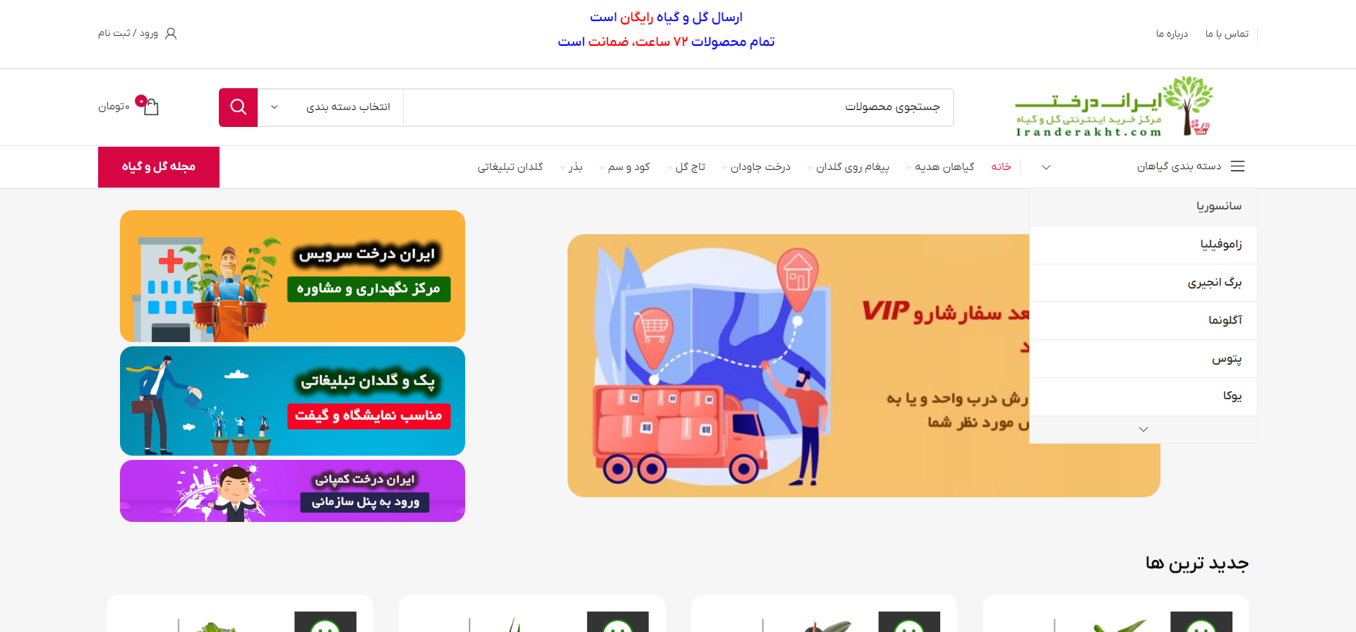 5 سایت برتر خرید آنلاین گل و گیاه در تهران