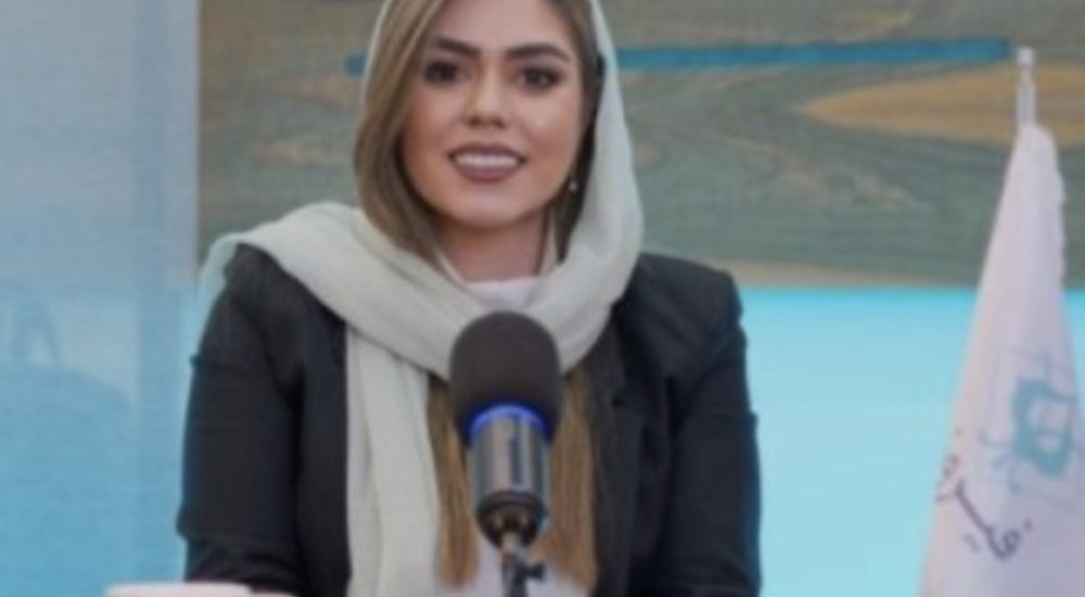 ابوالقاسمی در آیین معارفه گروه مالی فیروزه برای عرضه اولیه سهام در بورس: گروه مالی فیروزه در دو بازوی اصلی «خدمات مالی» و «سرمایه‌گذاری» فعالیت می‌کند