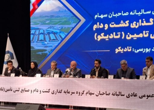 با شرکت بیش از ۹۴ درصد سهامداران مجمع عمومی عادی سالیانه شرکت تادیکو برگزار شد