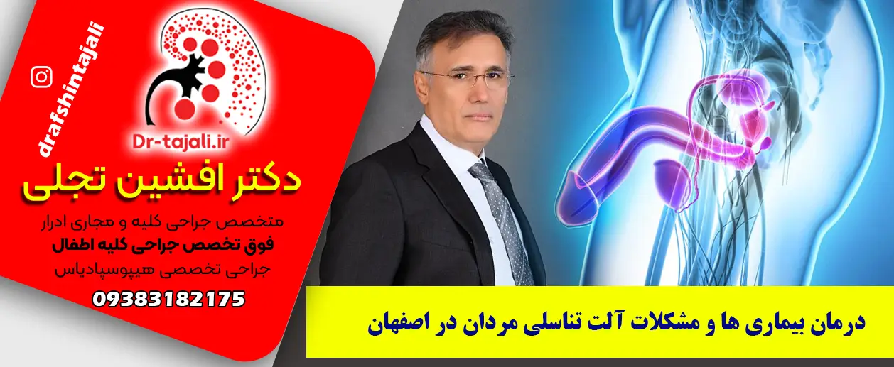 دکتر افشین تجلی، بهترین اورولوژیست اصفهان، در زمینه تشخیص و درمان بیماری های کلیه، مجاری ادراری و دستگاه تناسلی فعالیت دارد