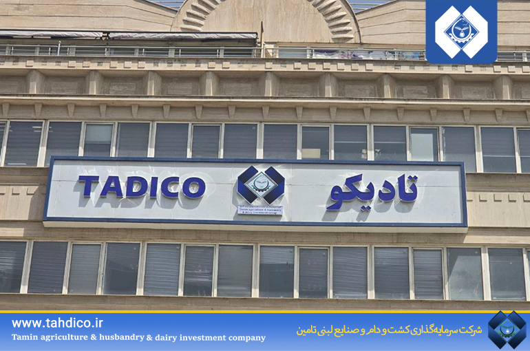 محمدی در مجمع عمومی عادی سالیانه شرکت گروه سرمایه گذاری کشت و دام و صنایع لبنی تامین: چشم‌انداز تادیکو تبدیل شدن به یکی از شرکت‌های برتر سرمایه‌گذاری بورسی است